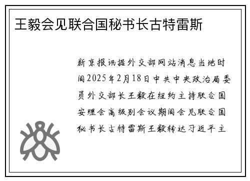 王毅会见联合国秘书长古特雷斯