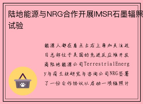陆地能源与NRG合作开展IMSR石墨辐照试验