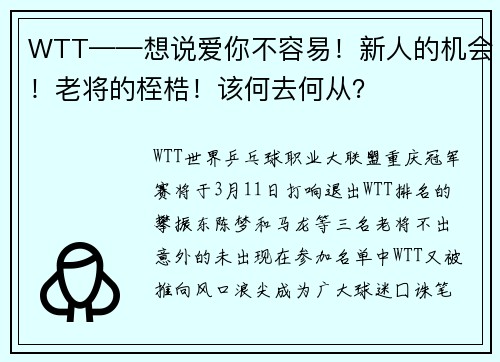 WTT——想说爱你不容易！新人的机会！老将的桎梏！该何去何从？