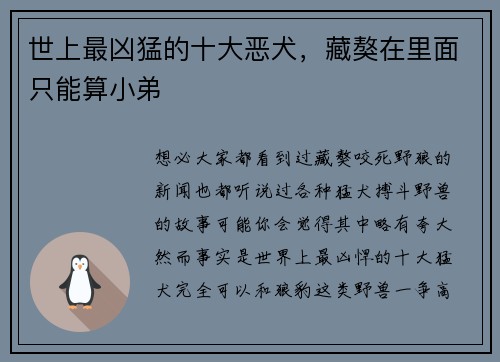 世上最凶猛的十大恶犬，藏獒在里面只能算小弟